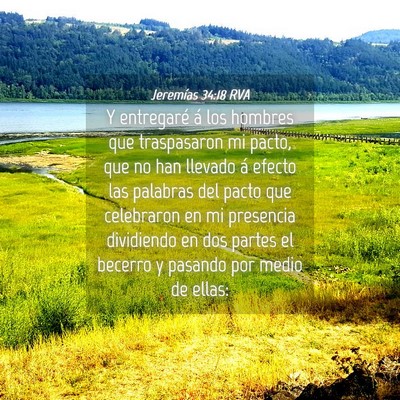 Picture 04 - Jeremías 34:18 RVA - Y entregaré á los hombres que traspasaron mi - Bible Verse Picture