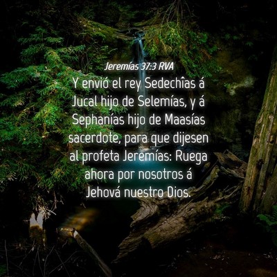 Picture 04 - Jeremías 37:3 RVA - Y envió el rey Sedechîas á Jucal hijo de - Bible Verse Picture