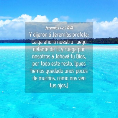 Picture 04 - Jeremías 42:2 RVA - Y dijeron á Jeremías profeta: Caiga ahora - Bible Verse Picture