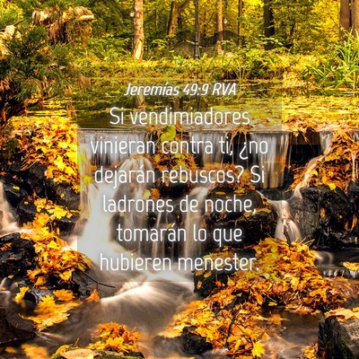 Picture 04 - Jeremías 49:9 RVA - Si vendimiadores vinieran contra ti, ¿no - Bible Verse Picture