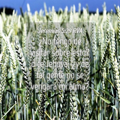 Picture 04 - Jeremías 5:29 RVA - ¿No tengo de visitar sobre esto? dice Jehová; - Bible Verse Picture