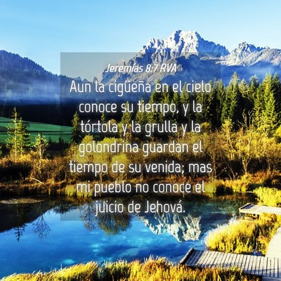 Picture 04 - Jeremías 8:7 RVA - Aun la cigüeña en el cielo conoce su tiempo, y - Bible Verse Picture