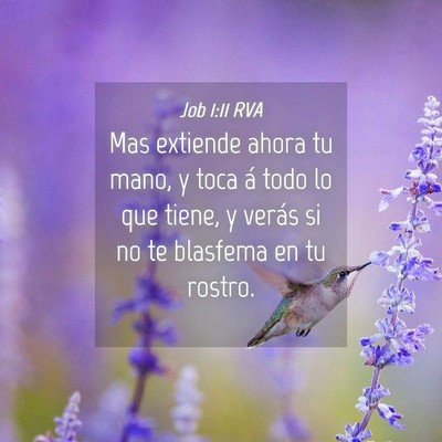 Picture 04 - Job 1:11 RVA - Mas extiende ahora tu mano, y toca á todo lo que - Bible Verse Picture