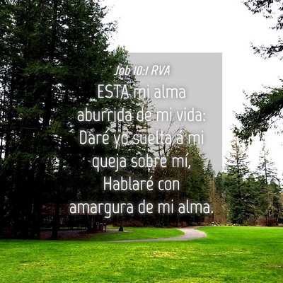 Picture 04 - Job 10:1 RVA - ESTA mi alma aburrida de mi vida: Daré yo suelta - Bible Verse Picture