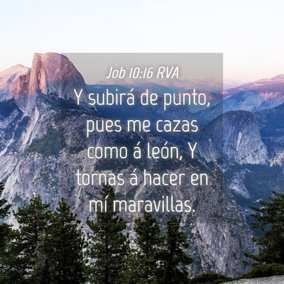 Picture 04 - Job 10:16 RVA - Y subirá de punto, pues me cazas como á león, - Bible Verse Picture