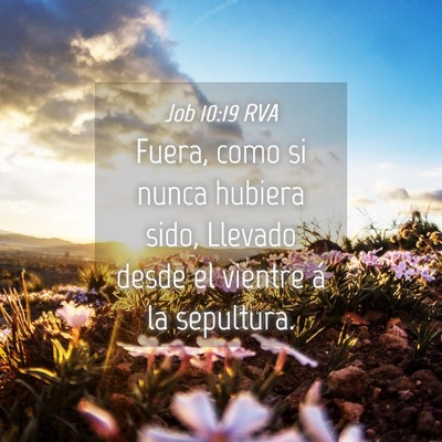 Picture 04 - Job 10:19 RVA - Fuera, como si nunca hubiera sido, Llevado desde - Bible Verse Picture