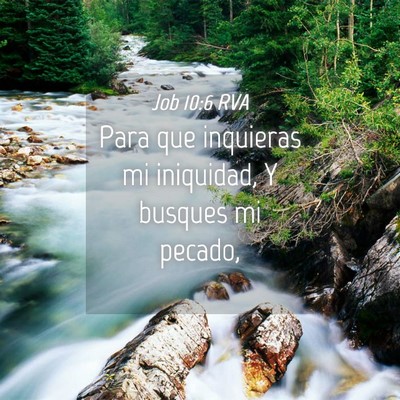 Picture 04 - Job 10:6 RVA - Para que inquieras mi iniquidad, Y busques mi - Bible Verse Picture