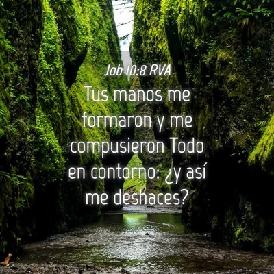 Picture 04 - Job 10:8 RVA - Tus manos me formaron y me compusieron Todo en - Bible Verse Picture