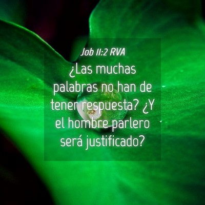 Picture 04 - Job 11:2 RVA - ¿Las muchas palabras no han de tener respuesta? - Bible Verse Picture