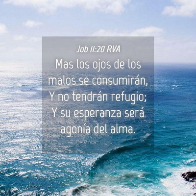 Picture 04 - Job 11:20 RVA - Mas los ojos de los malos se consumirán, Y no - Bible Verse Picture