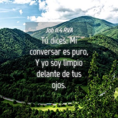 Picture 04 - Job 11:4 RVA - Tú dices: Mi conversar es puro, Y yo soy limpio - Bible Verse Picture