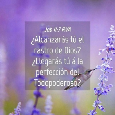 Picture 04 - Job 11:7 RVA - ¿Alcanzarás tú el rastro de Dios? ¿Llegarás - Bible Verse Picture