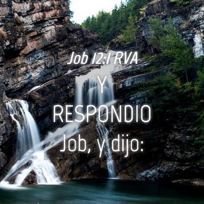 Picture 04 - Job 12:1 RVA - Y RESPONDIO Job, y - Bible Verse Picture