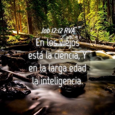 Picture 04 - Job 12:12 RVA - En los viejos está la ciencia, Y en la larga - Bible Verse Picture