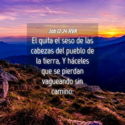 Picture 04 - Job 12:24 RVA - El quita el seso de las cabezas del pueblo de la - Bible Verse Picture