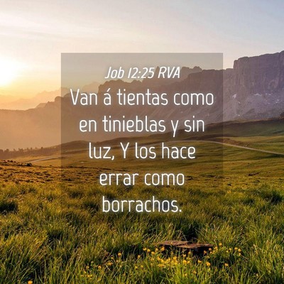 Picture 04 - Job 12:25 RVA - Van á tientas como en tinieblas y sin luz, Y los - Bible Verse Picture