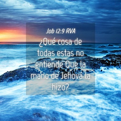 Picture 04 - Job 12:9 RVA - ¿Qué cosa de todas estas no entiende Que la - Bible Verse Picture