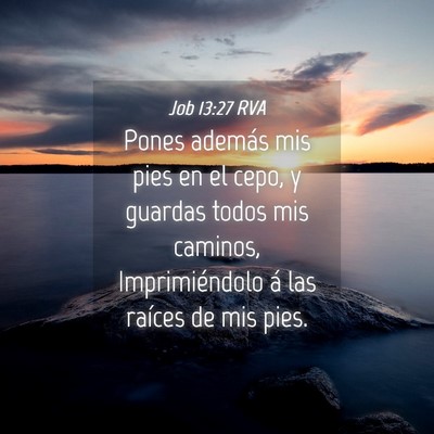Picture 04 - Job 13:27 RVA - Pones además mis pies en el cepo, y guardas - Bible Verse Picture