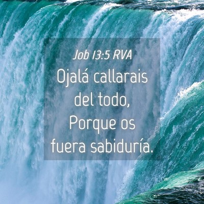 Picture 04 - Job 13:5 RVA - Ojalá callarais del todo, Porque os fuera - Bible Verse Picture