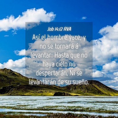 Picture 04 - Job 14:12 RVA - Así el hombre yace, y no se tornará á - Bible Verse Picture