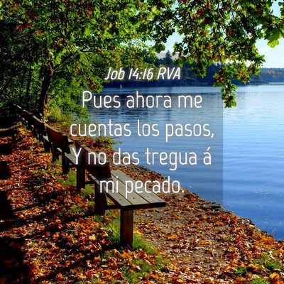 Picture 04 - Job 14:16 RVA - Pues ahora me cuentas los pasos, Y no das tregua - Bible Verse Picture