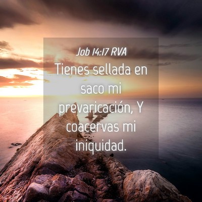 Picture 04 - Job 14:17 RVA - Tienes sellada en saco mi prevaricación, Y - Bible Verse Picture