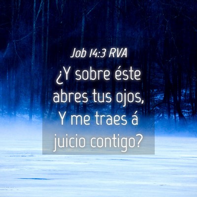 Picture 04 - Job 14:3 RVA - ¿Y sobre éste abres tus ojos, Y me traes á - Bible Verse Picture