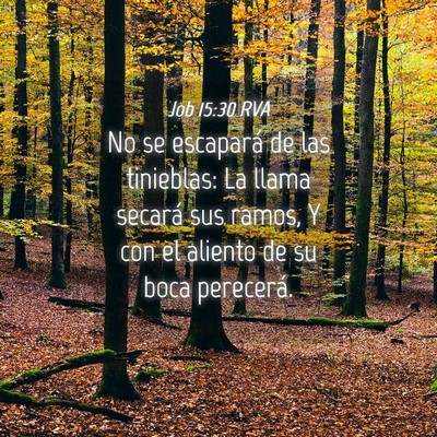 Picture 04 - Job 15:30 RVA - No se escapará de las tinieblas: La llama - Bible Verse Picture