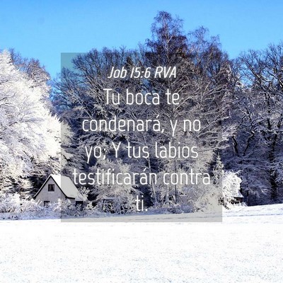 Picture 04 - Job 15:6 RVA - Tu boca te condenará, y no yo; Y tus labios - Bible Verse Picture