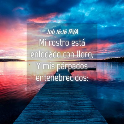 Picture 04 - Job 16:16 RVA - Mi rostro está enlodado con lloro, Y mis - Bible Verse Picture
