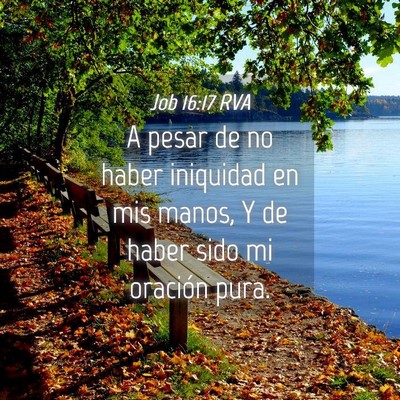 Picture 04 - Job 16:17 RVA - A pesar de no haber iniquidad en mis manos, Y de - Bible Verse Picture