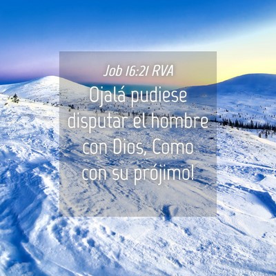 Picture 04 - Job 16:21 RVA - Ojalá pudiese disputar el hombre con Dios, Como - Bible Verse Picture