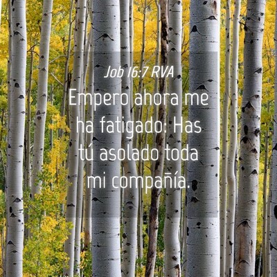 Picture 04 - Job 16:7 RVA - Empero ahora me ha fatigado: Has tú asolado toda - Bible Verse Picture