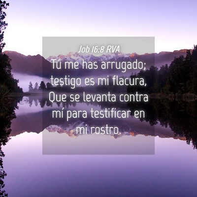 Picture 04 - Job 16:8 RVA - Tú me has arrugado; testigo es mi flacura, Que - Bible Verse Picture