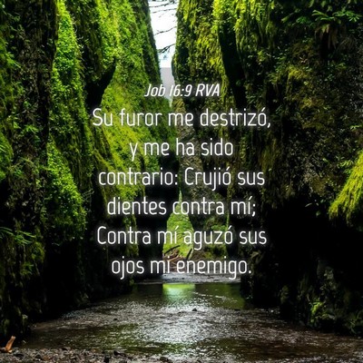 Picture 04 - Job 16:9 RVA - Su furor me destrizó, y me ha sido contrario: - Bible Verse Picture