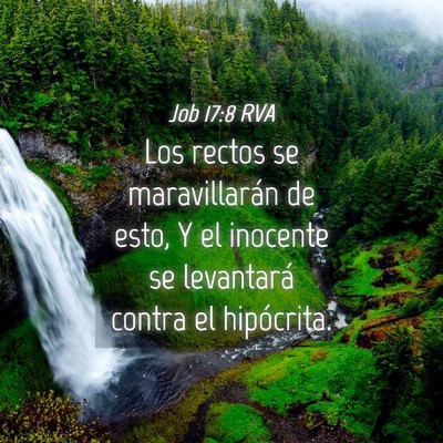 Picture 04 - Job 17:8 RVA - Los rectos se maravillarán de esto, Y el - Bible Verse Picture