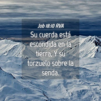 Picture 04 - Job 18:10 RVA - Su cuerda está escondida en la tierra, Y su - Bible Verse Picture