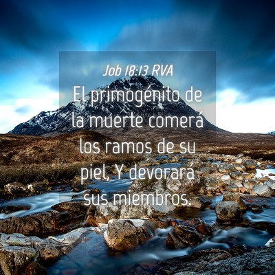 Picture 04 - Job 18:13 RVA - El primogénito de la muerte comerá los ramos de - Bible Verse Picture