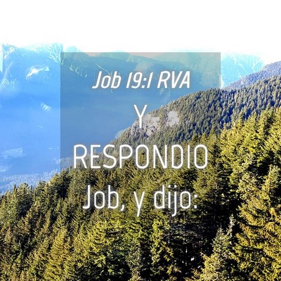 Picture 04 - Job 19:1 RVA - Y RESPONDIO Job, y - Bible Verse Picture