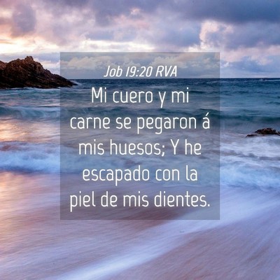 Picture 04 - Job 19:20 RVA - Mi cuero y mi carne se pegaron á mis huesos; Y - Bible Verse Picture