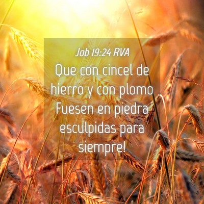 Picture 04 - Job 19:24 RVA - Que con cincel de hierro y con plomo Fuesen en - Bible Verse Picture