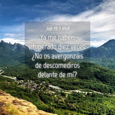 Picture 04 - Job 19:3 RVA - Ya me habéis vituperado diez veces: ¿No os - Bible Verse Picture