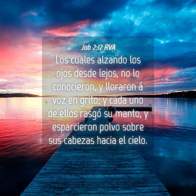 Picture 04 - Job 2:12 RVA - Los cuales alzando los ojos desde lejos, no lo - Bible Verse Picture