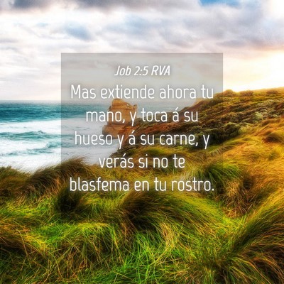 Picture 04 - Job 2:5 RVA - Mas extiende ahora tu mano, y toca á su hueso y - Bible Verse Picture