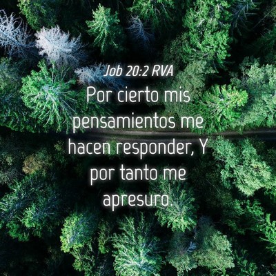 Picture 04 - Job 20:2 RVA - Por cierto mis pensamientos me hacen responder, Y - Bible Verse Picture