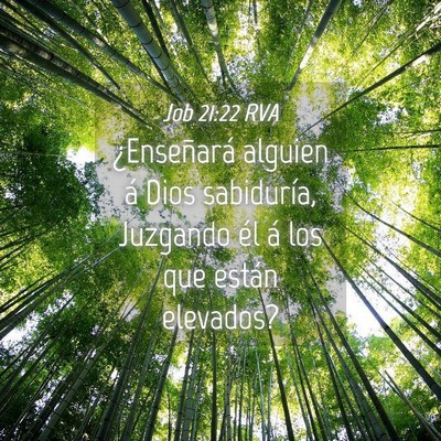 Picture 04 - Job 21:22 RVA - ¿Enseñará alguien á Dios sabiduría, Juzgando - Bible Verse Picture