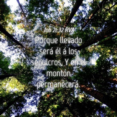 Picture 04 - Job 21:32 RVA - Porque llevado será él á los sepulcros, Y en - Bible Verse Picture