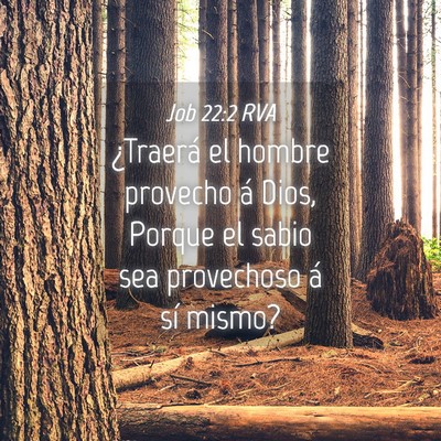 Picture 04 - Job 22:2 RVA - ¿Traerá el hombre provecho á Dios, Porque el - Bible Verse Picture