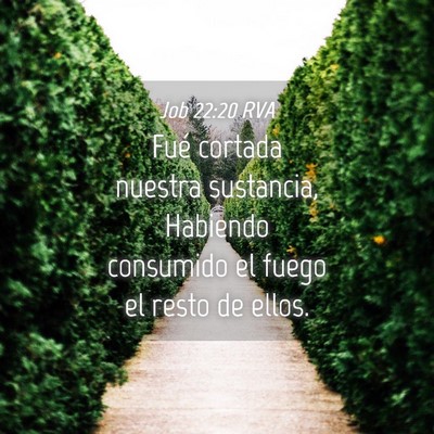 Picture 04 - Job 22:20 RVA - Fué cortada nuestra sustancia, Habiendo - Bible Verse Picture