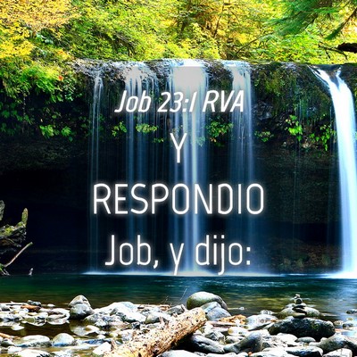 Picture 04 - Job 23:1 RVA - Y RESPONDIO Job, y - Bible Verse Picture